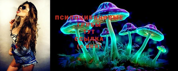 СК Бронницы